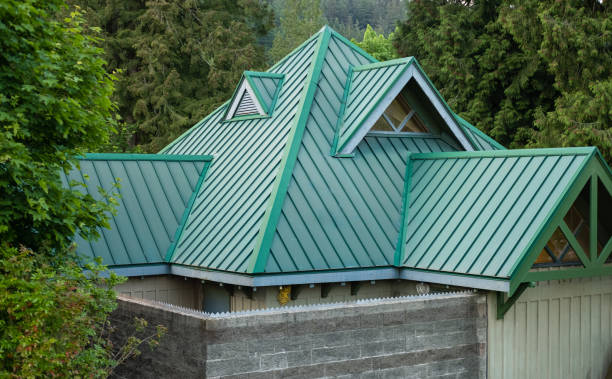 Best Roof Ventilation Installation  in Virginia, IL