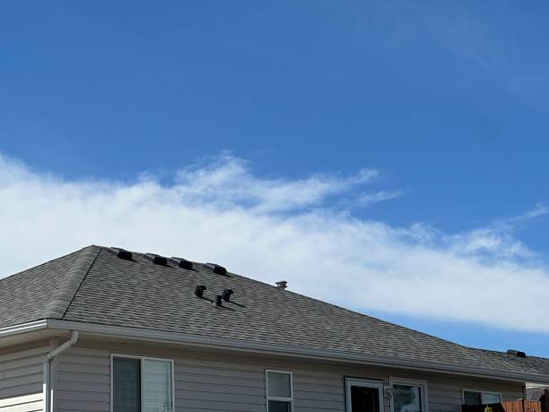 Best Gutter Installation and Repair  in Virginia, IL